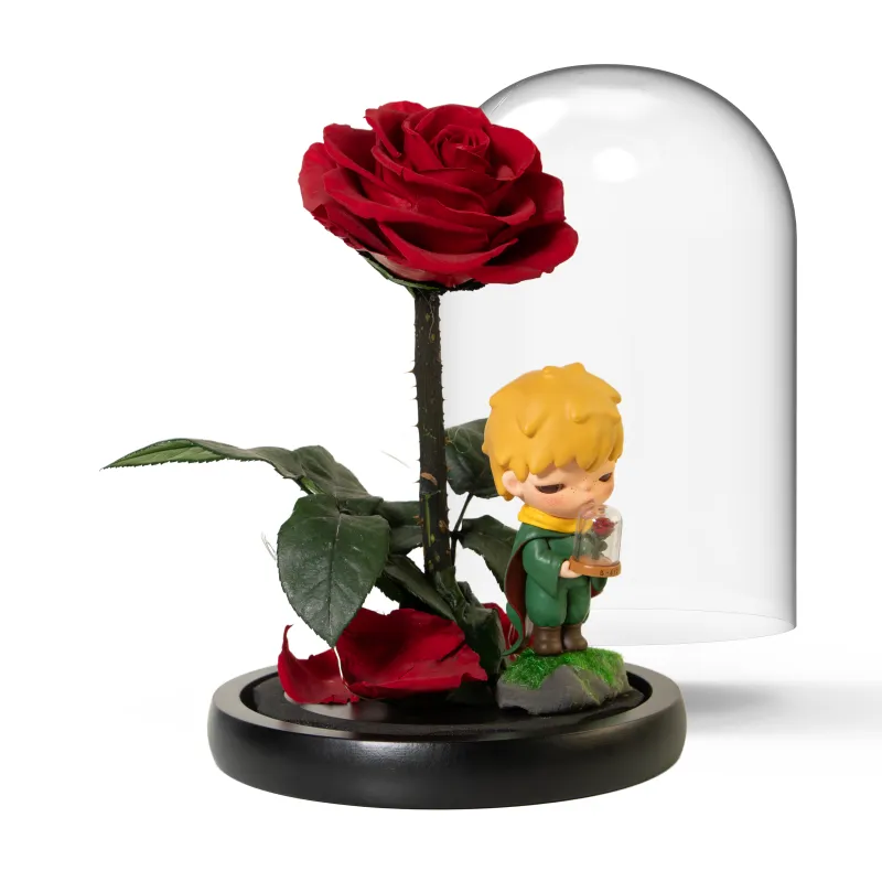 [Modified Doll] POP MART HIRONO X LePetit Prince Collection The Little Prince ONLY U Hang Tag Box 10cm-2