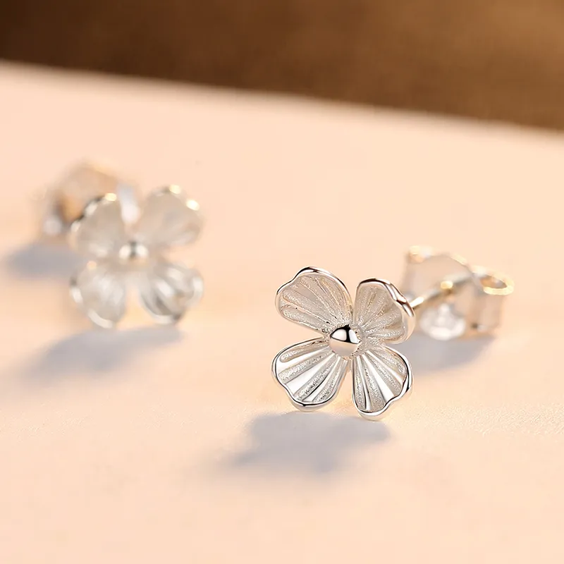 Zoo Jewel S925 Silver Stud Earrings Women's-3