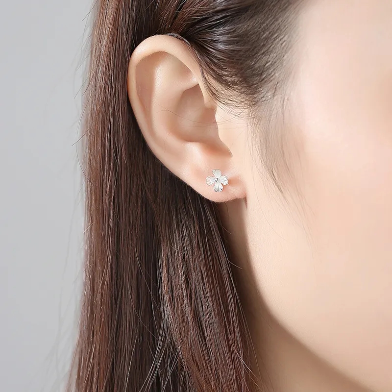Zoo Jewel S925 Silver Stud Earrings Women's-1