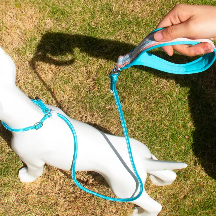 A good thing Leashes-3