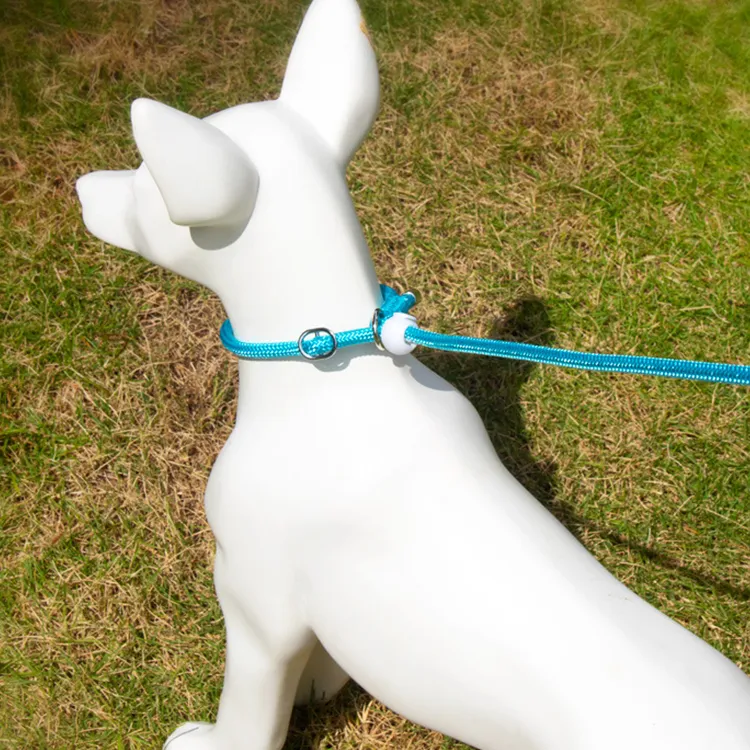 A good thing Leashes-2