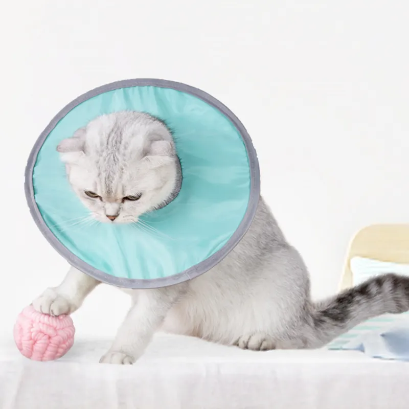 A good thing Dog / Cat Collars-5