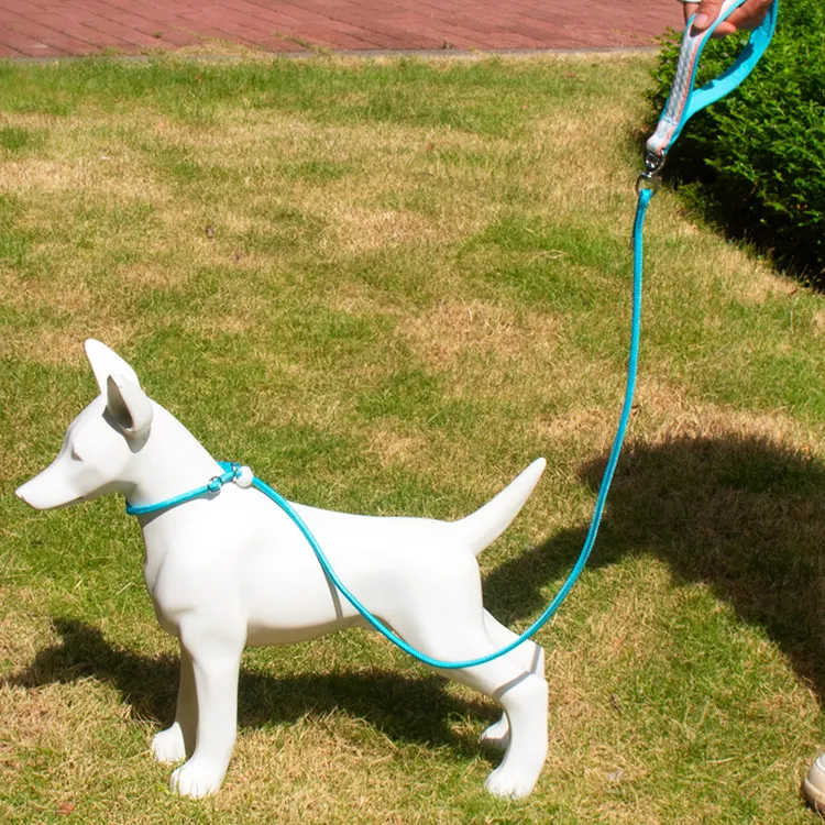 A good thing Leashes-1