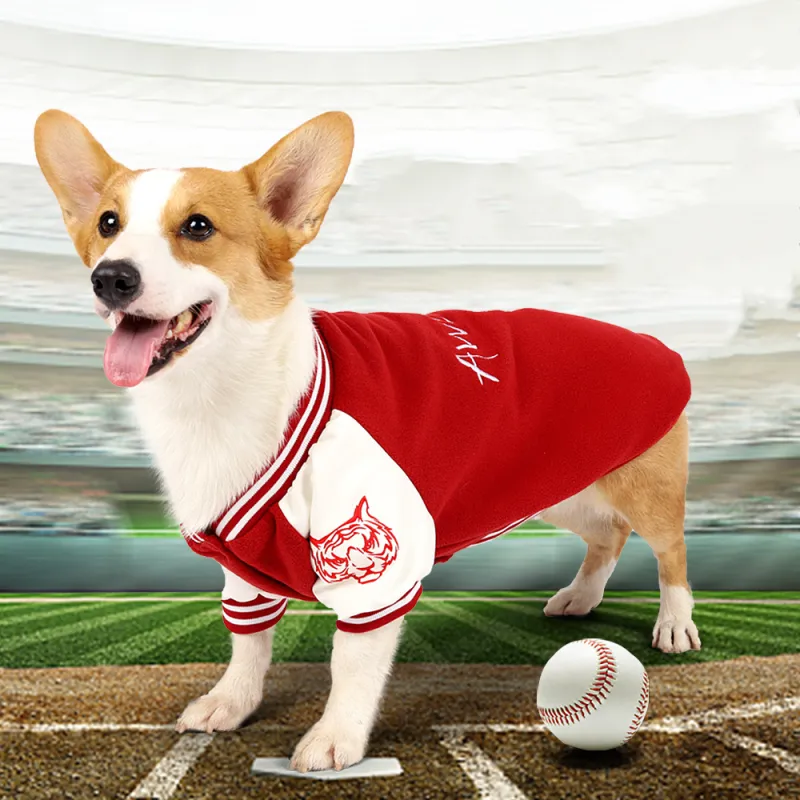 A good thing Pet Clothing-1