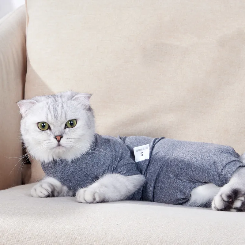 A good thing Pet Clothing-2