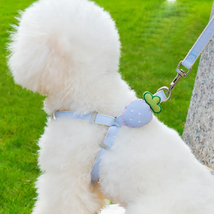 A good thing Leashes-5