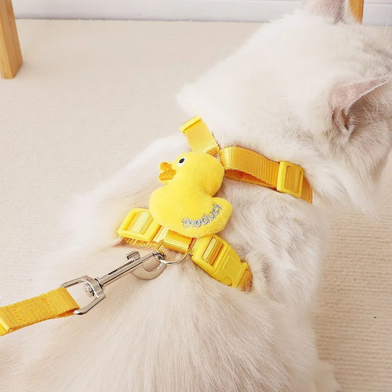 A good thing Leashes-2