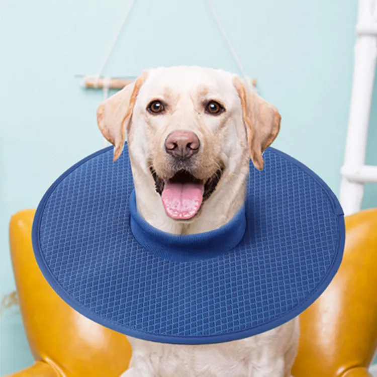 A good thing Dog / Cat Collars-3