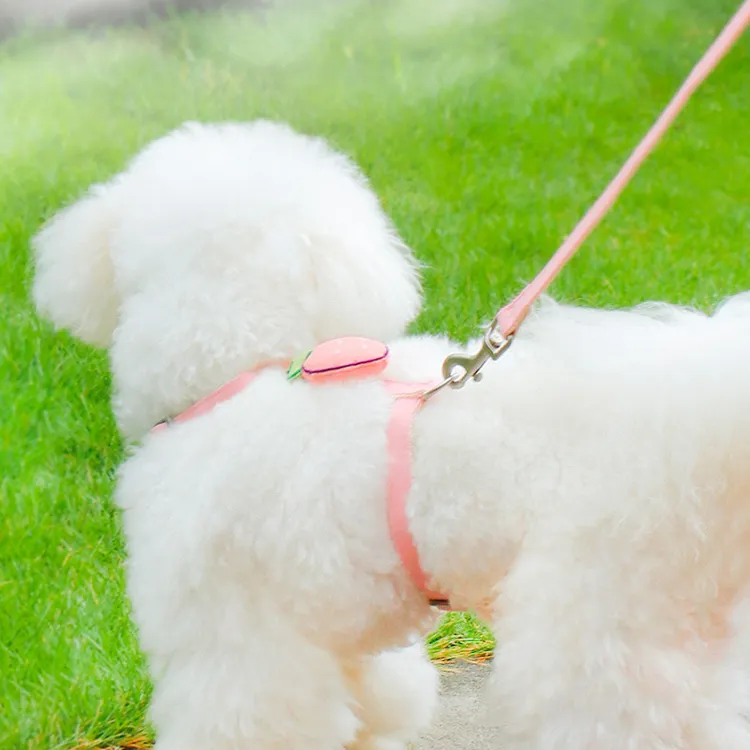A good thing Leashes-1