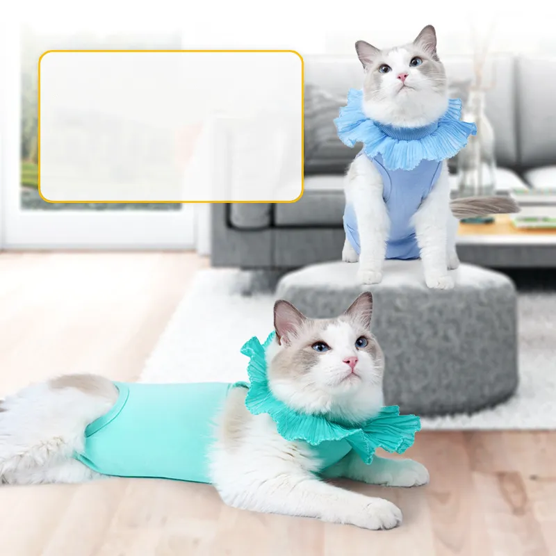 A good thing Pet Clothing-3