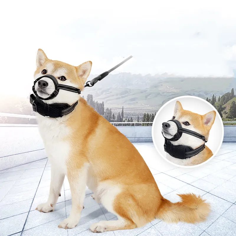 A good thing Leashes-2