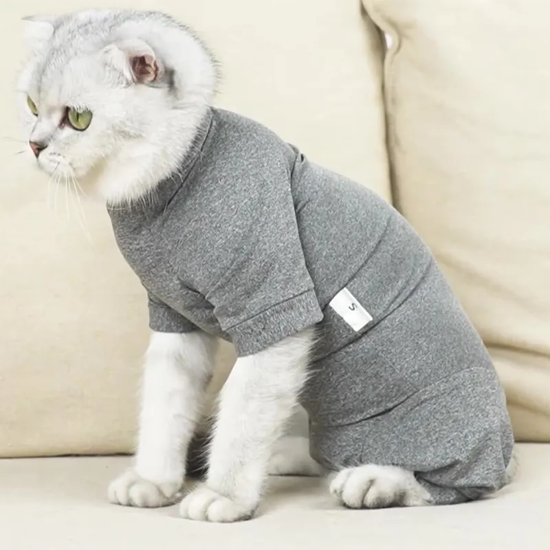 A good thing Pet Clothing-1