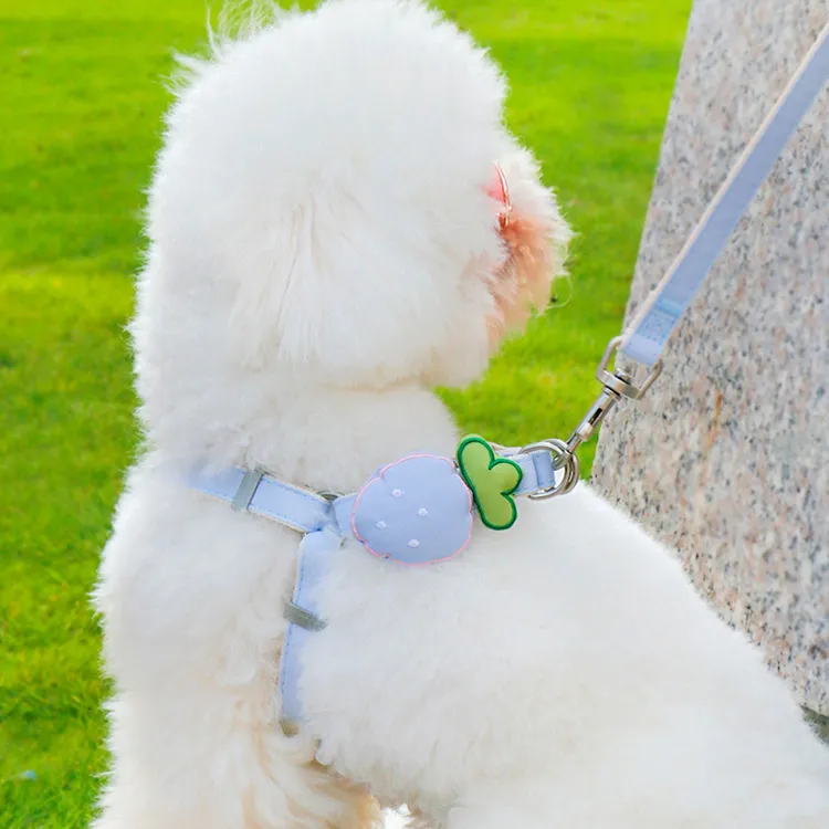 A good thing Leashes-4
