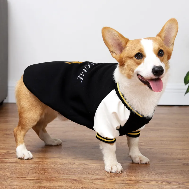 A good thing Pet Clothing-4