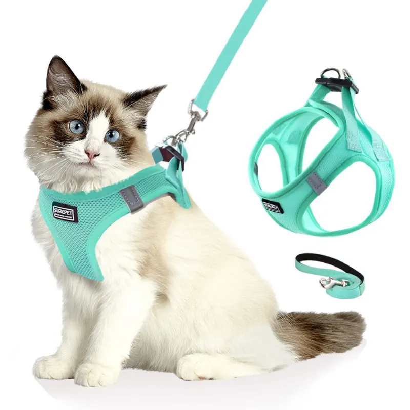 BURNSNOW Leashes-2