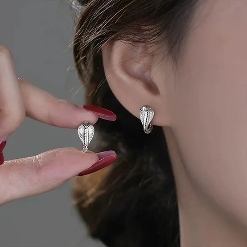 QIDUYINSHI S925 Silver Earrings Unisex-1