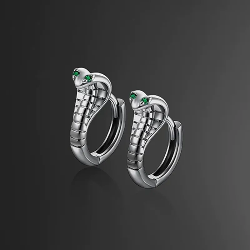 QIDUYINSHI S925 Silver Earrings Unisex-4