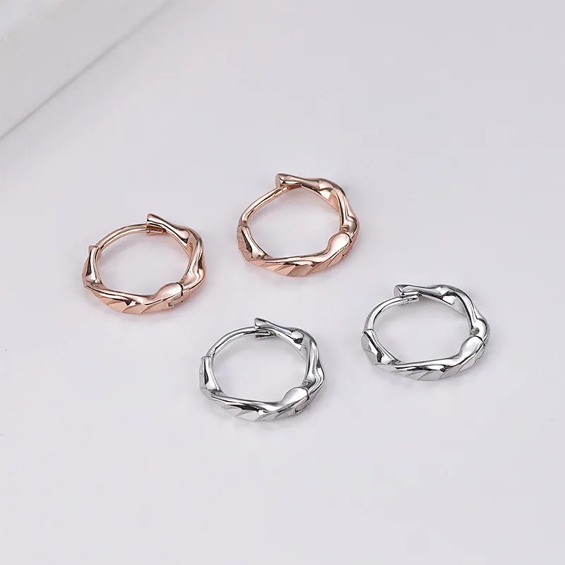 QIDUYINSHI S925 Silver Earrings Unisex-8