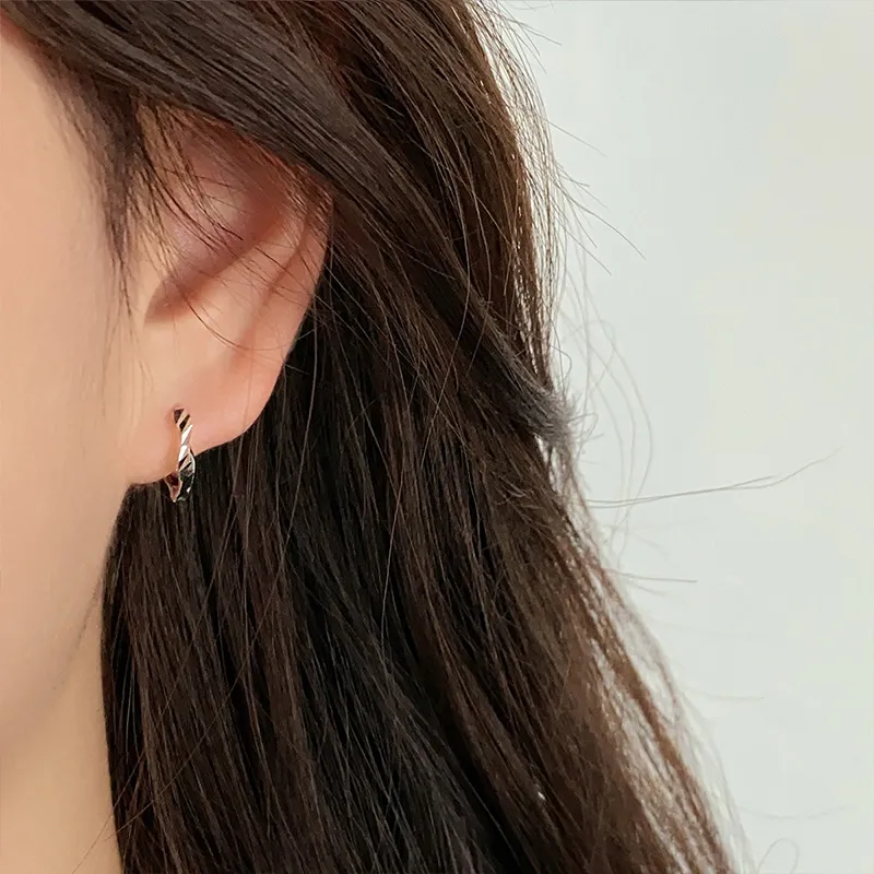 QIDUYINSHI S925 Silver Earrings Unisex-7