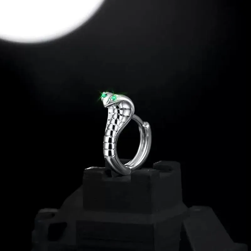 QIDUYINSHI S925 Silver Earrings Unisex-3