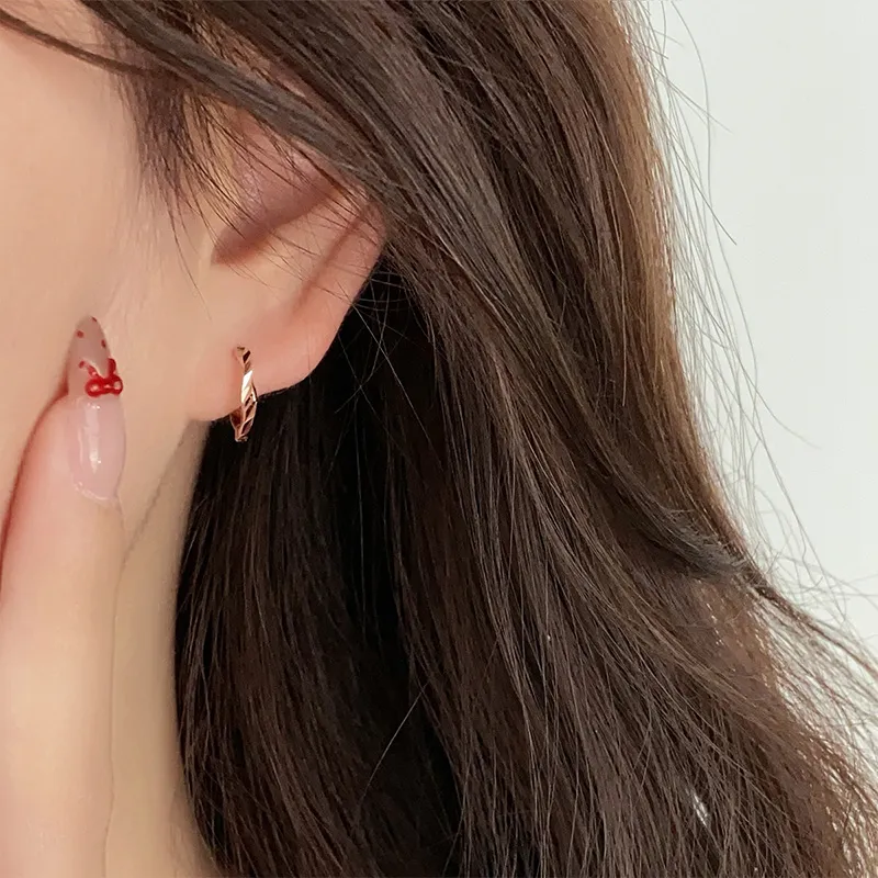 QIDUYINSHI S925 Silver Earrings Unisex-2