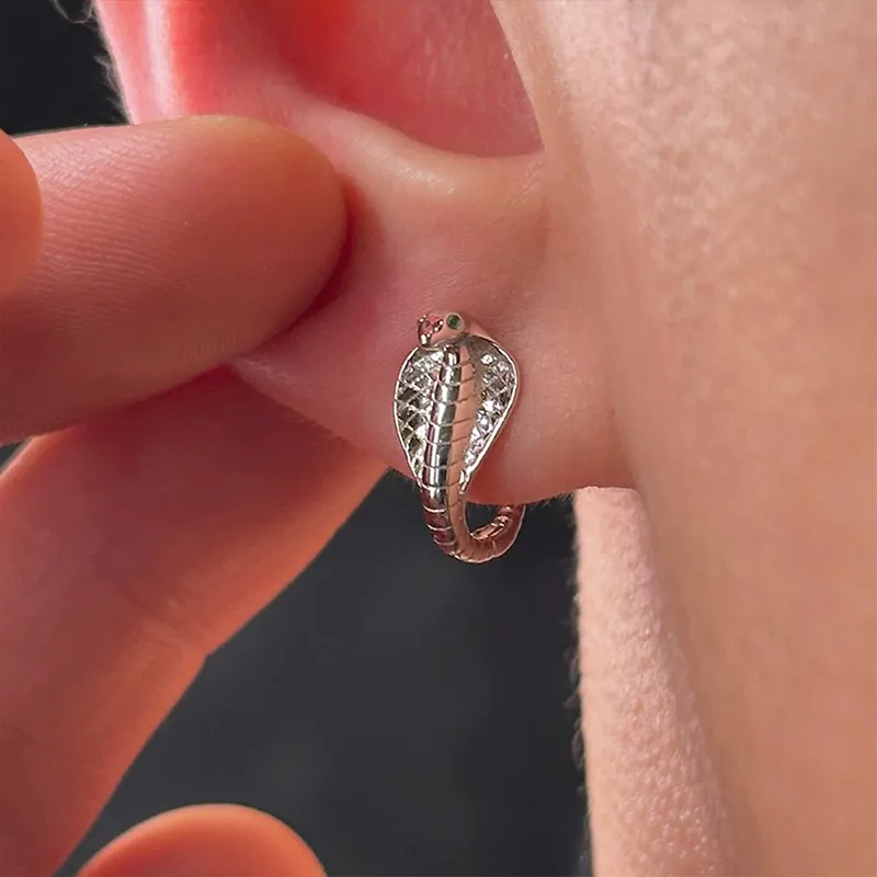 QIDUYINSHI S925 Silver Earrings Unisex-6