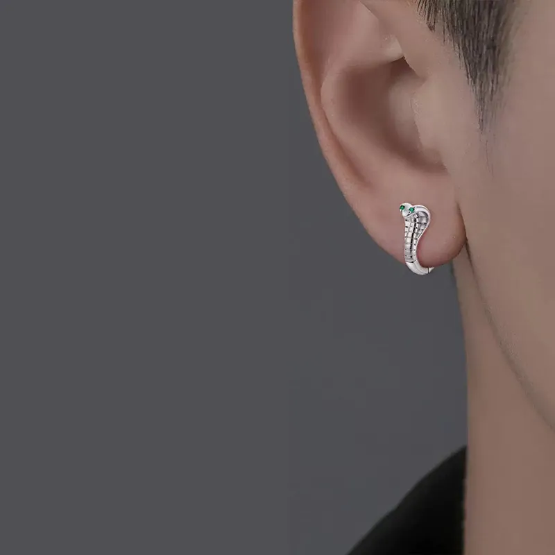 QIDUYINSHI S925 Silver Earrings Unisex-2