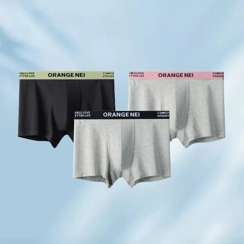 Inside The Orange Underpants Men's 3 Pack-20