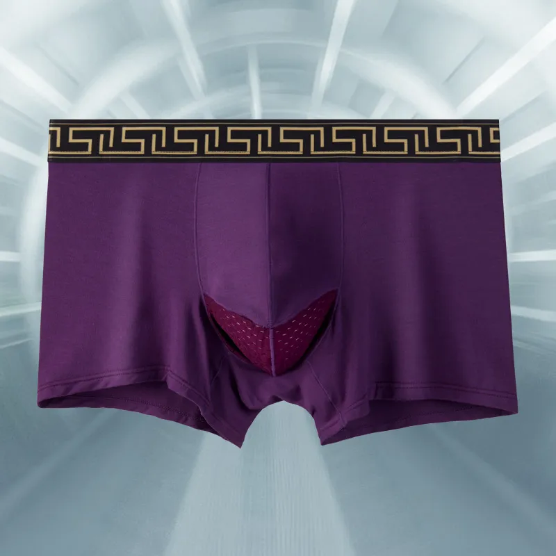 Inside The Orange Underpants Men's Gift Box Set Of 4-10