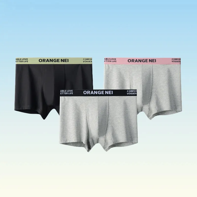 Inside The Orange Underpants Men's 3 Pack-21