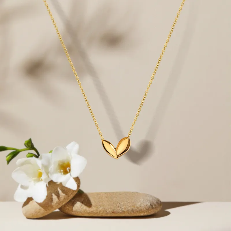 BHI Accessories Alloy Gift Box Set Necklace Women's-1