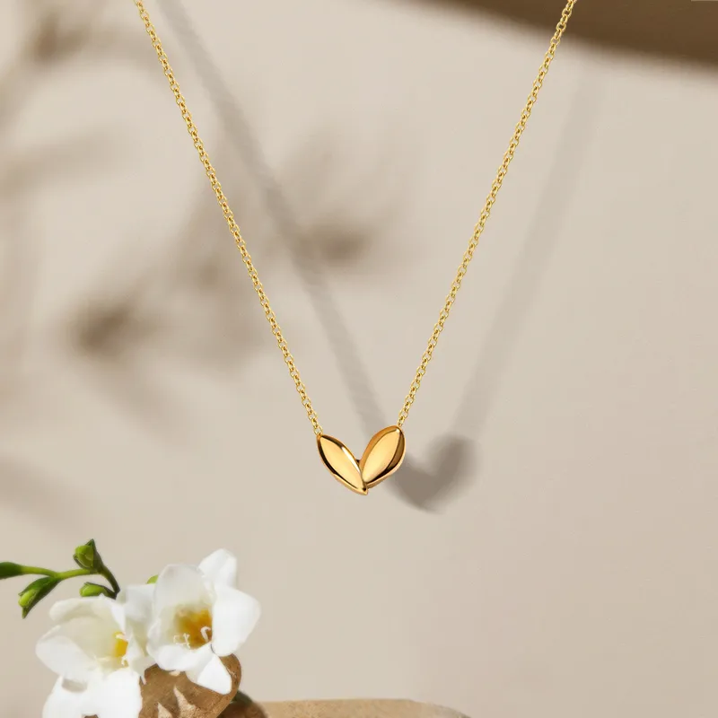 BHI Accessories Alloy Gift Box Set Necklace Women's-2