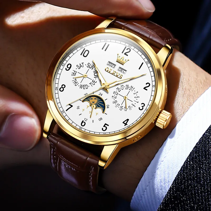 OLEVS Wisdom Series Mechanical Movement Leather Watch Bands Watch Men's Watches Black Dial-16
