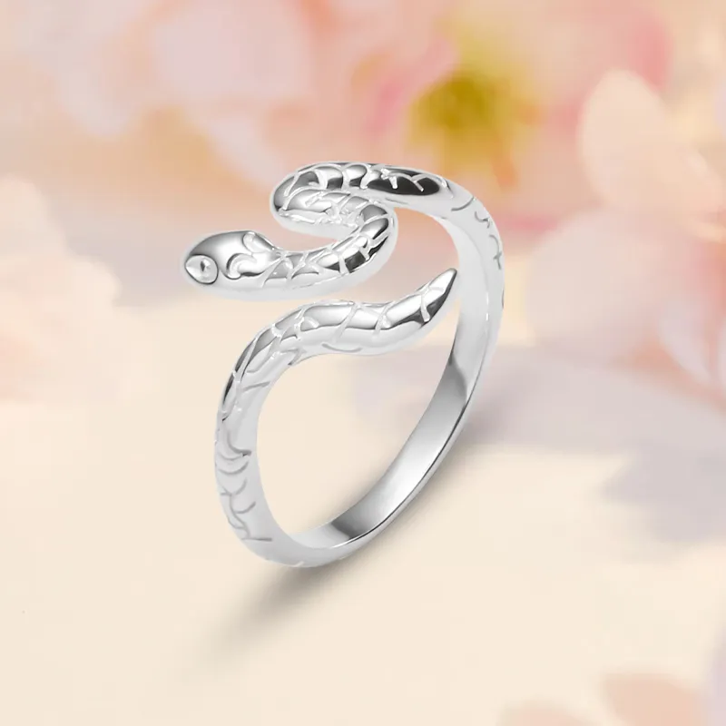 SUCH NICE S999 Fine Silver Rings Unisex-1