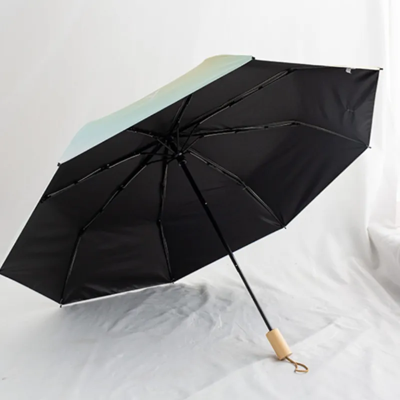 Shame Umbrellas-6