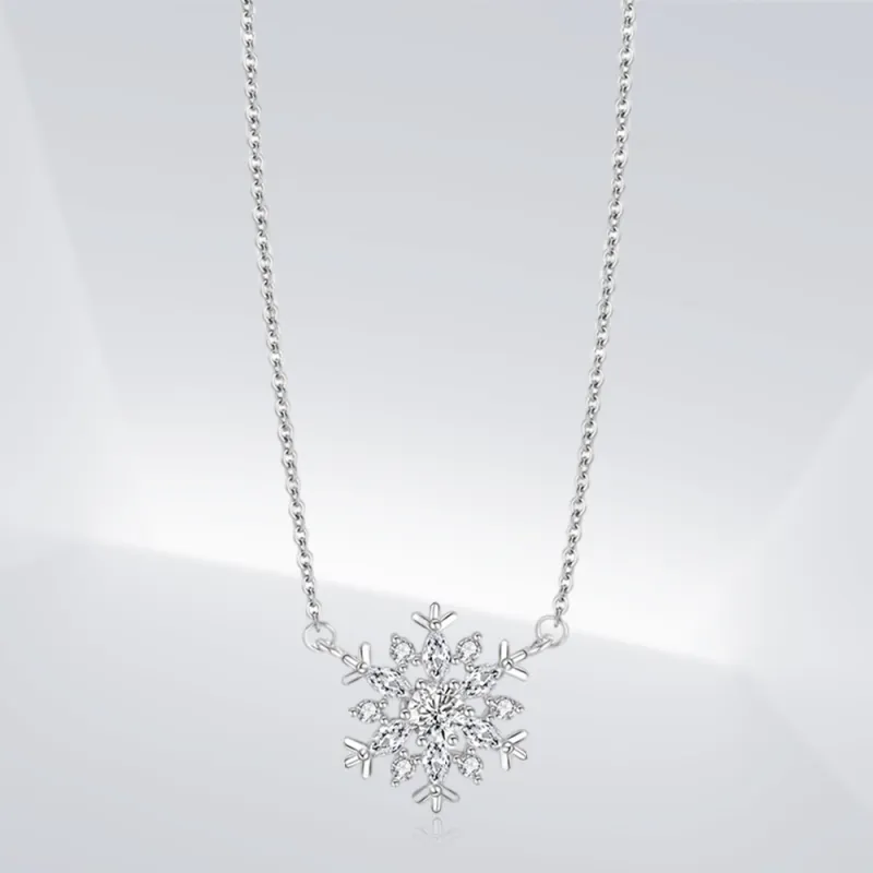 Shiban S925 Silver Necklaces Unisex-1