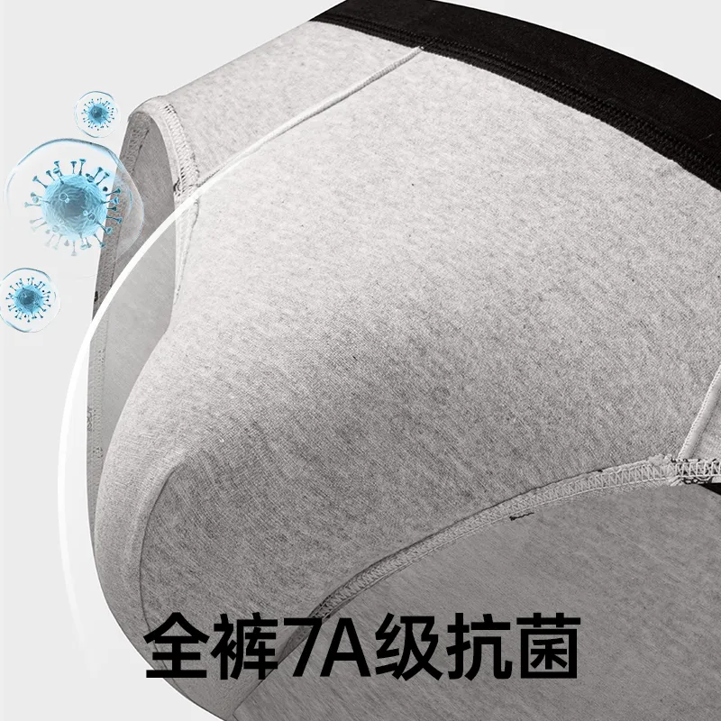 Master Men Underpants-3