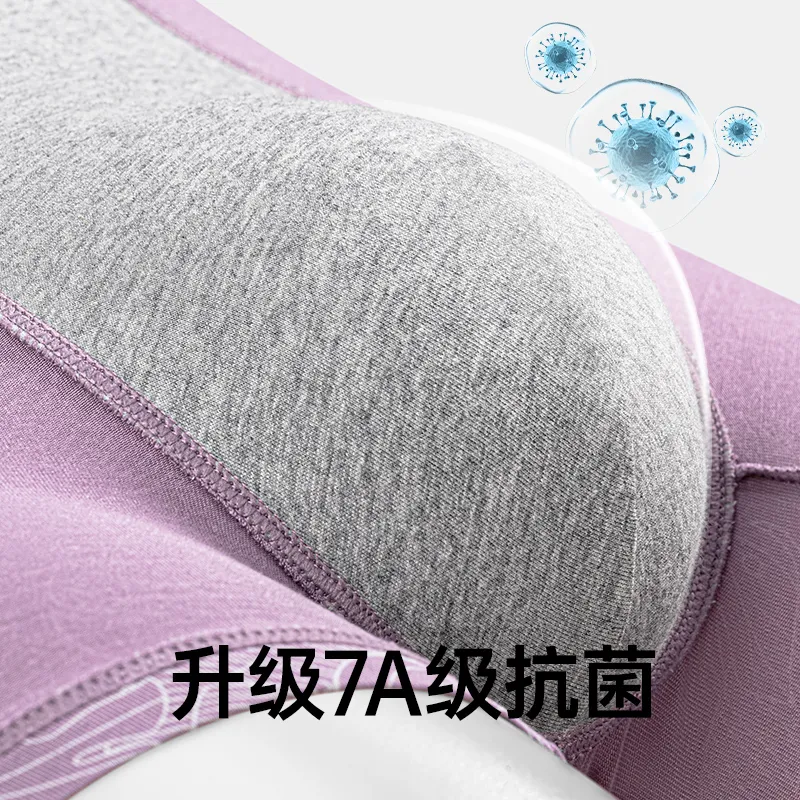 Master Men Underpants-3