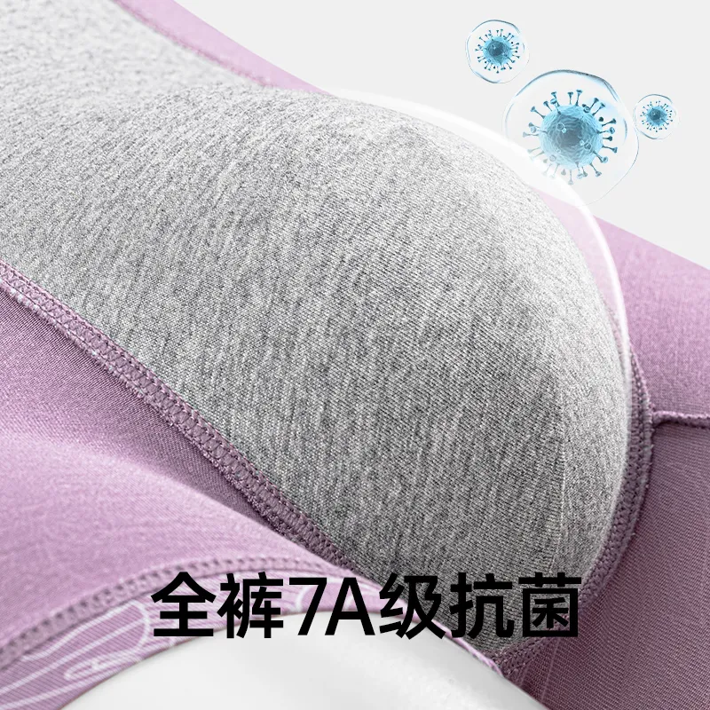 Master Men Underpants-3