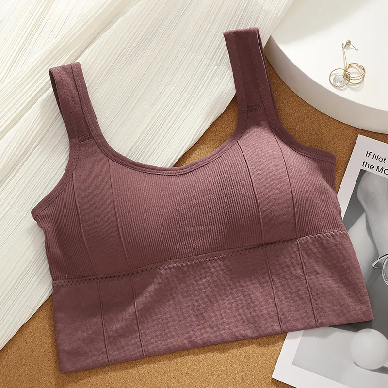 Beerus Women's Bras-3