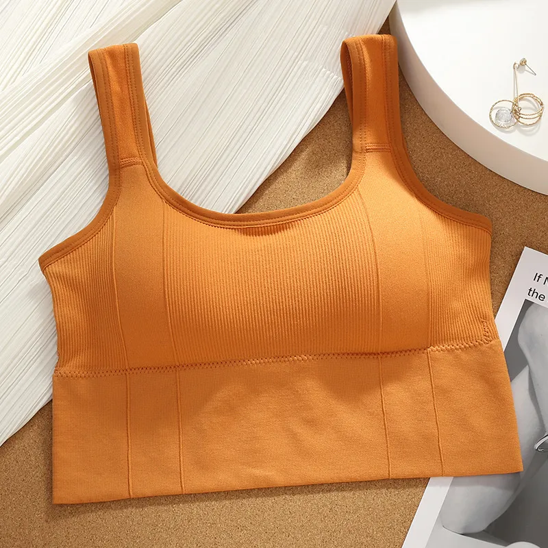 Beerus Women's Bras-11