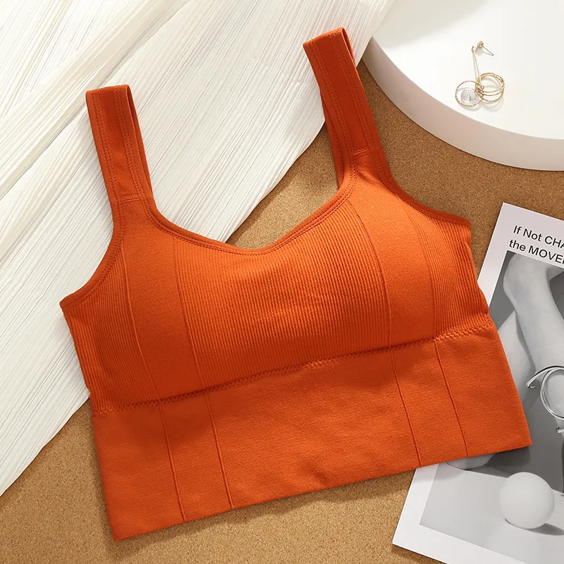 Beerus Women's Bras-9