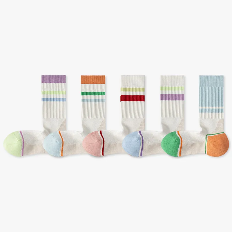 Beerus Mid Calf Socks Women's 4 Pack-3