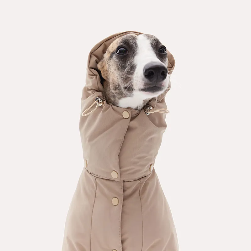 KNOWZA Pet Clothing-4