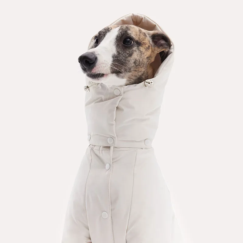 KNOWZA Pet Clothing-4