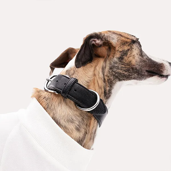 KNOWZA Dog / Cat Collars-3