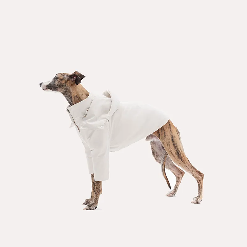 KNOWZA Pet Clothing-1