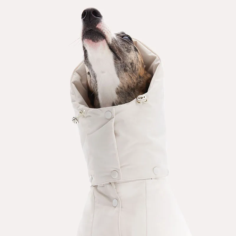 KNOWZA Pet Clothing-5