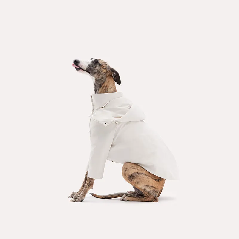 KNOWZA Pet Clothing-3