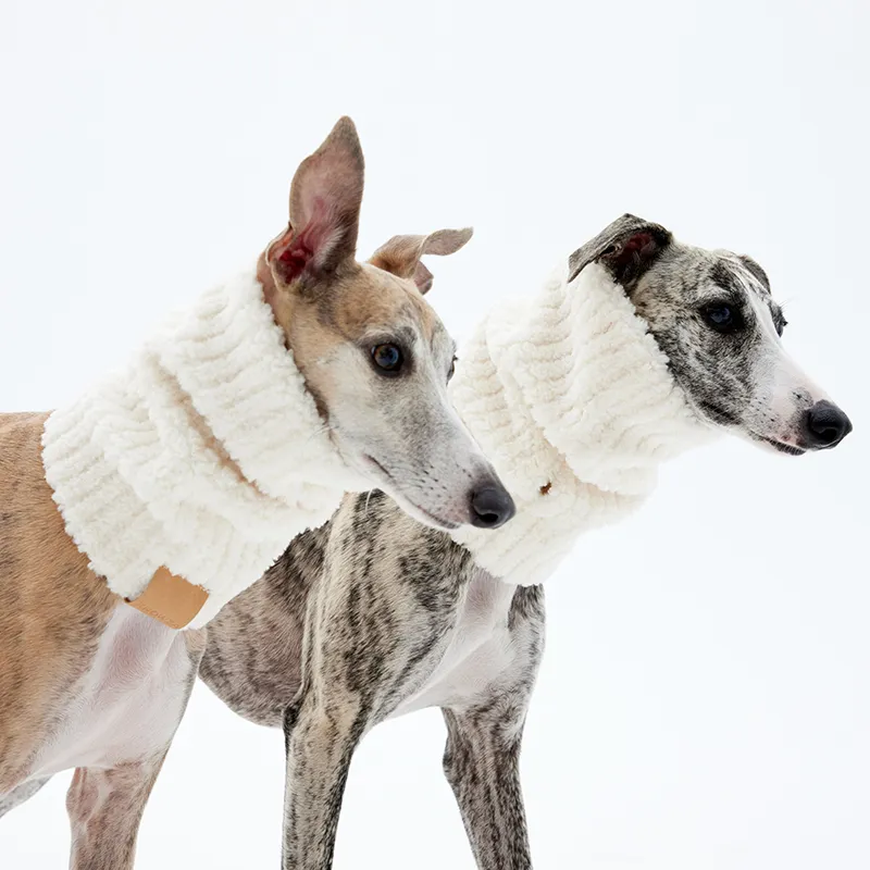 KNOWZA Pet Clothing-4